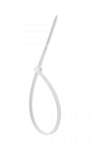 enforca gato branco enforca gato branco